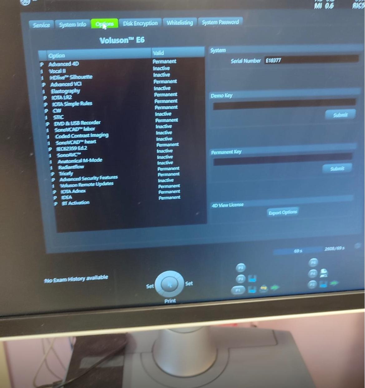 GE Ultrasound Voluson E6 BT 21 -(2021 year) by Ultrasound Probes & Transducers