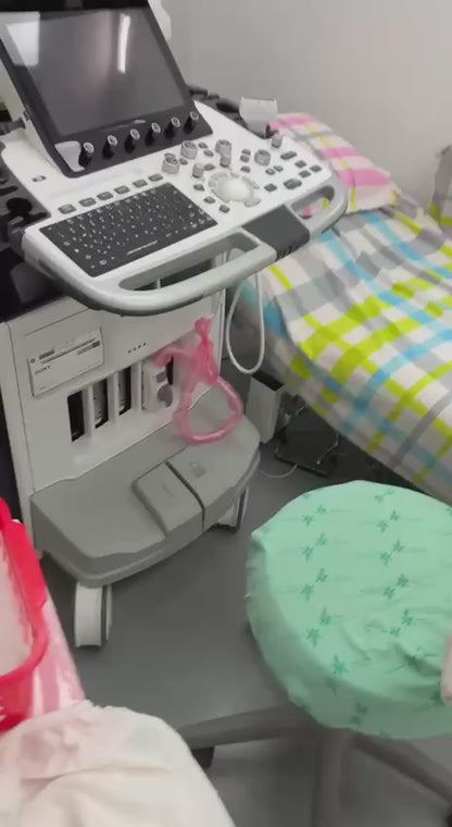 Logiq e10s ultrasound GE